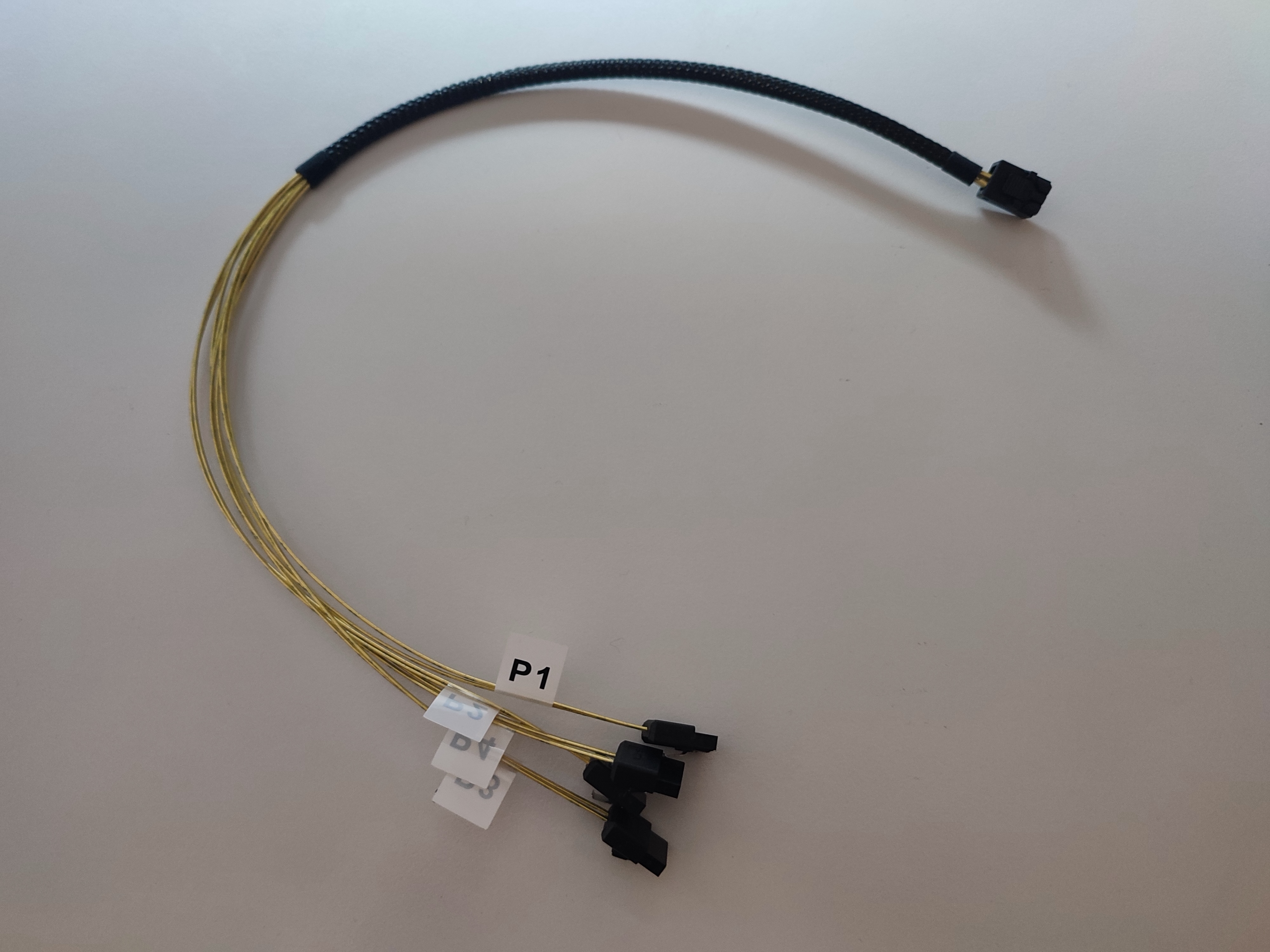 2025-08-03_vitualized_nas_sas_cable.jpeg